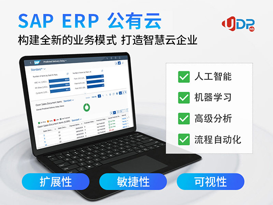 云ERP,SAP的云ERP,SAP云ERP系统,SAP云ERP系统服务商,云ERP系统,SAP云ERP系统运维,云ERP产品,SAP