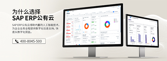 SAP,SAP ERP,SAP ERP公有云,ERP公有云,SAP公有云,SAP ERP公有云服务商,SAP ERP公有云支持,SAP官方合作伙伴