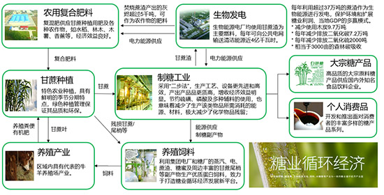 SAP系统,消费品企业可持续发展,消费品企业SAP系统,消费品企业ERP系统,消费品SAP系统,消费品ERP系统,SAP系统助力消费品企业可持续发展