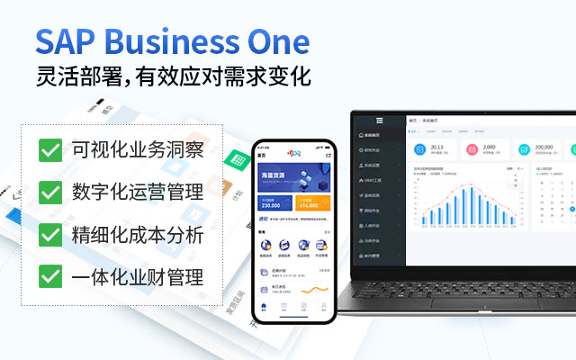 SAP Business One SAP B1 SAP系统 ERP系统