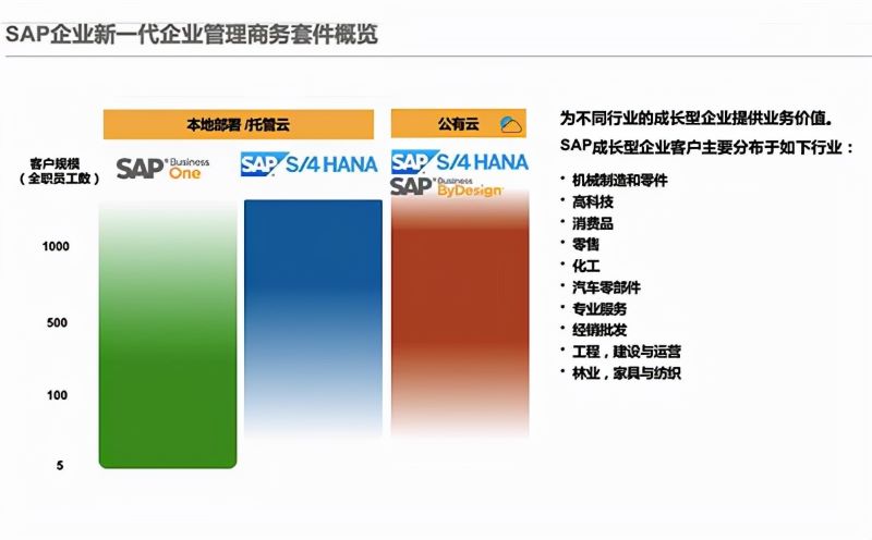 云ERP,SAP ERP公有云部署,云ERP软件,云ERP布置,SAP云,SAP云部署