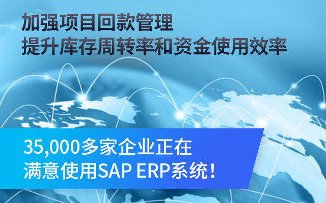 SAP代理商选择,ERP实施策略,企业资源规划系统,ERP代理商评估,SAP系统集成