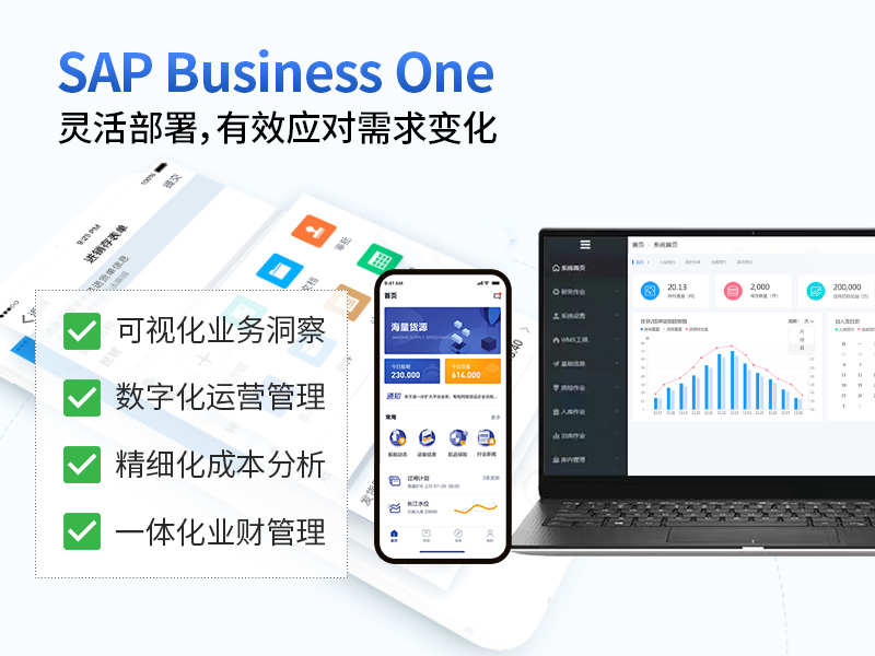 江苏SAP,江苏SAP供应商,ERP软件,SAP实施商,优德普,SAP本地实施,SAP ERP软件,SAP系统