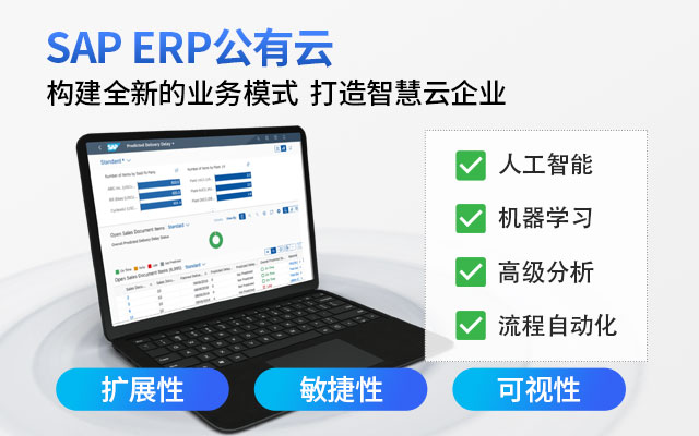 江浙erp,生产企业erp,erp品牌,SAP中大型集团,企业erp系统,浙江erp,江苏SAP